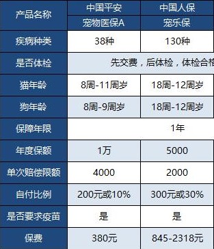 铲屎官必看：爱宠生病再也不用慌宠物也能买保险！