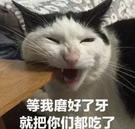 你们觉得猫咪会记仇吗