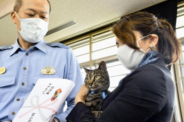 老人摔进沟里猫咪跟路人合力救起！警察蜀黍奖励它一包猫粮